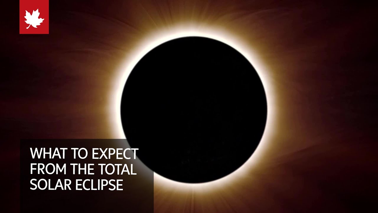What To Expect From The 2024 Total Solar Eclipse OpenCanuck